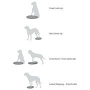 22" FitPAWS Dog Training/Rehabilitation Balance Disc, Blue