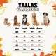 thumbnail image 4 of Cama para Perro HILLS Negra Resistente y Confortable, 4 of 8