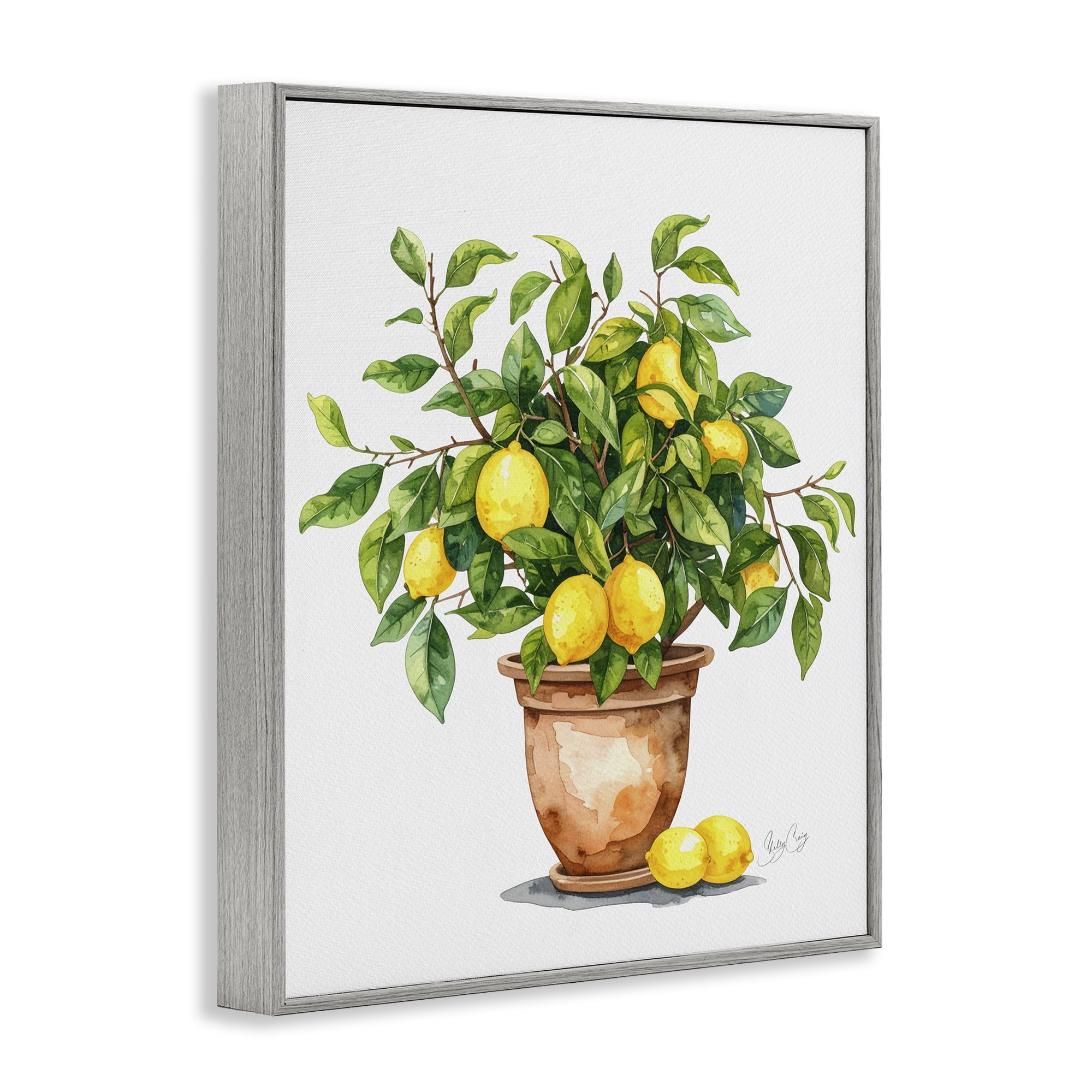 Stupell Industries Potted Lemon Tree Gray Framed Giclee Art, design by Shelly Craig