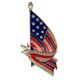 thumbnail image 1 of USA National Flag Brooch Creative Alloy Rhinestone Lapel Pin Brooch American Costume Jewelry, 1 of 4