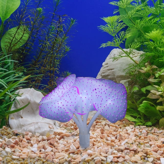 Decoración de Acuarios con Medusas Fluorescentes, Césped Acuático y Paisajismo.