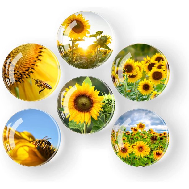 Sunflower Glass Fridge Pretty Refrigerator for Kitchen