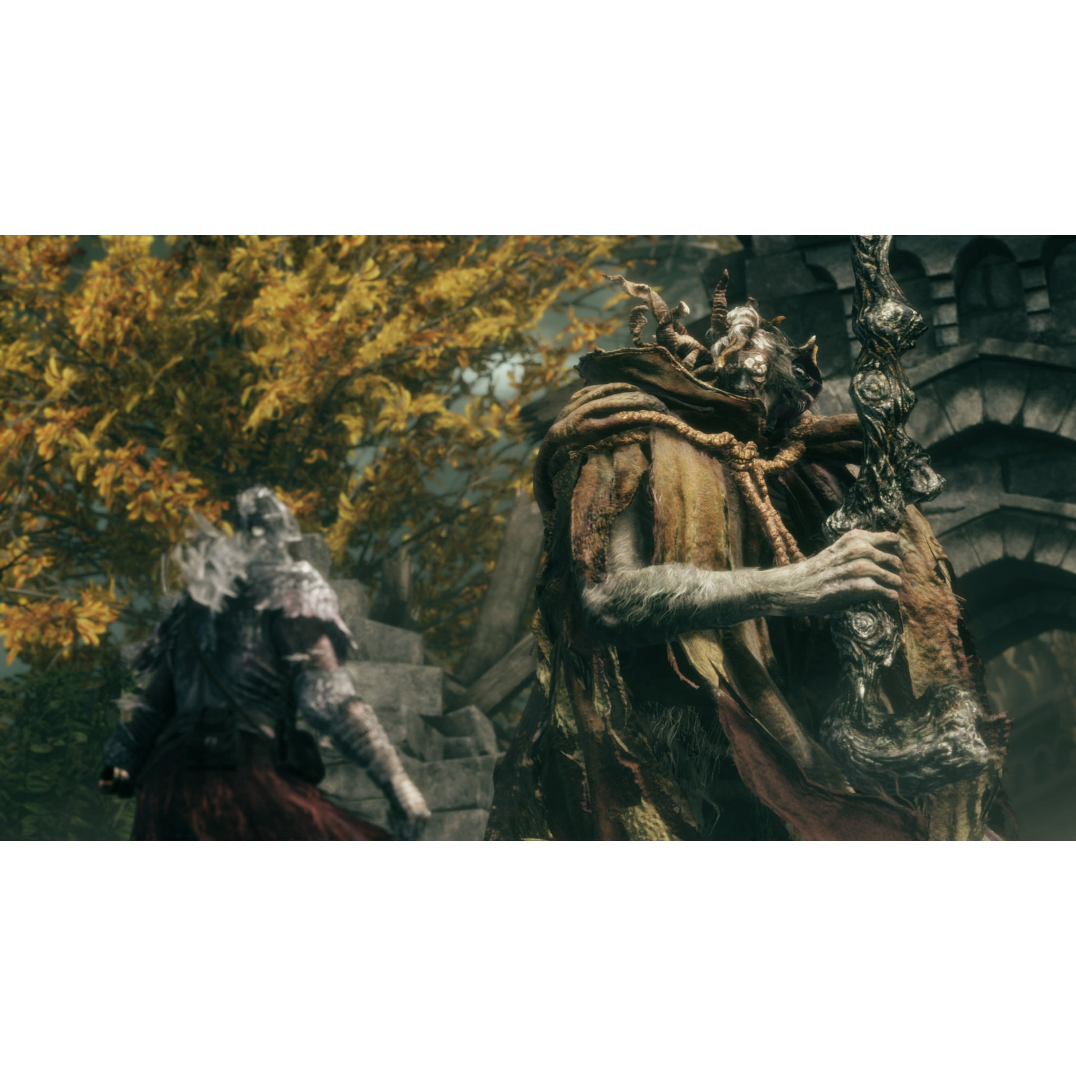 Elden Ring Tarnished Edition - Nintendo Switch 2 Game