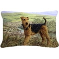 thumbnail image 1 of Airedale Terrier les Rois Coussin Décoratif en Tissu Country, 1 of 1