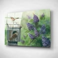 thumbnail image 2 of Epic Art 'Wrens & Lilacs' by Pam Britton, Acrylic Glass Wall Art, 16"x12", 2 of 3