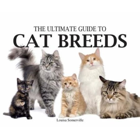 Pre-Owned The Ultimate Guide to Cat Breeds (Paperback) 078582264X 9780785822646