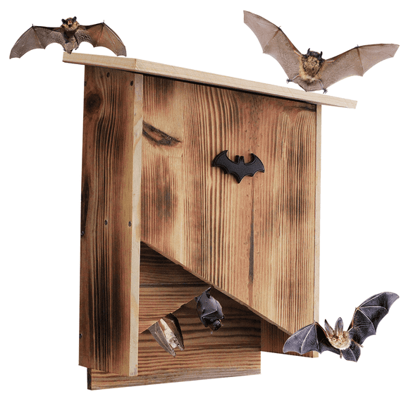 Large Double-Chamber Bat House – Outdoor Solid Wood Bat Box, Weather-Resistant, Includes Mounting Hardware for Trees & Siding