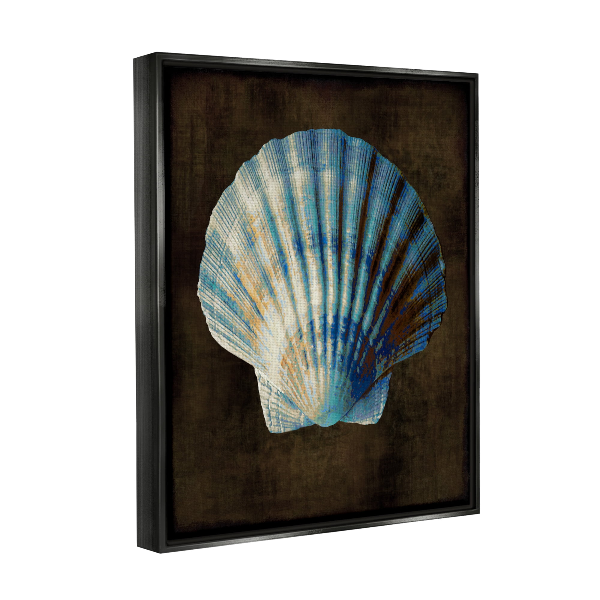 Stupell Industries Rustic Clam Shell Nature Painting Black Floater Framed Art Print Wall Art, 25 x 31