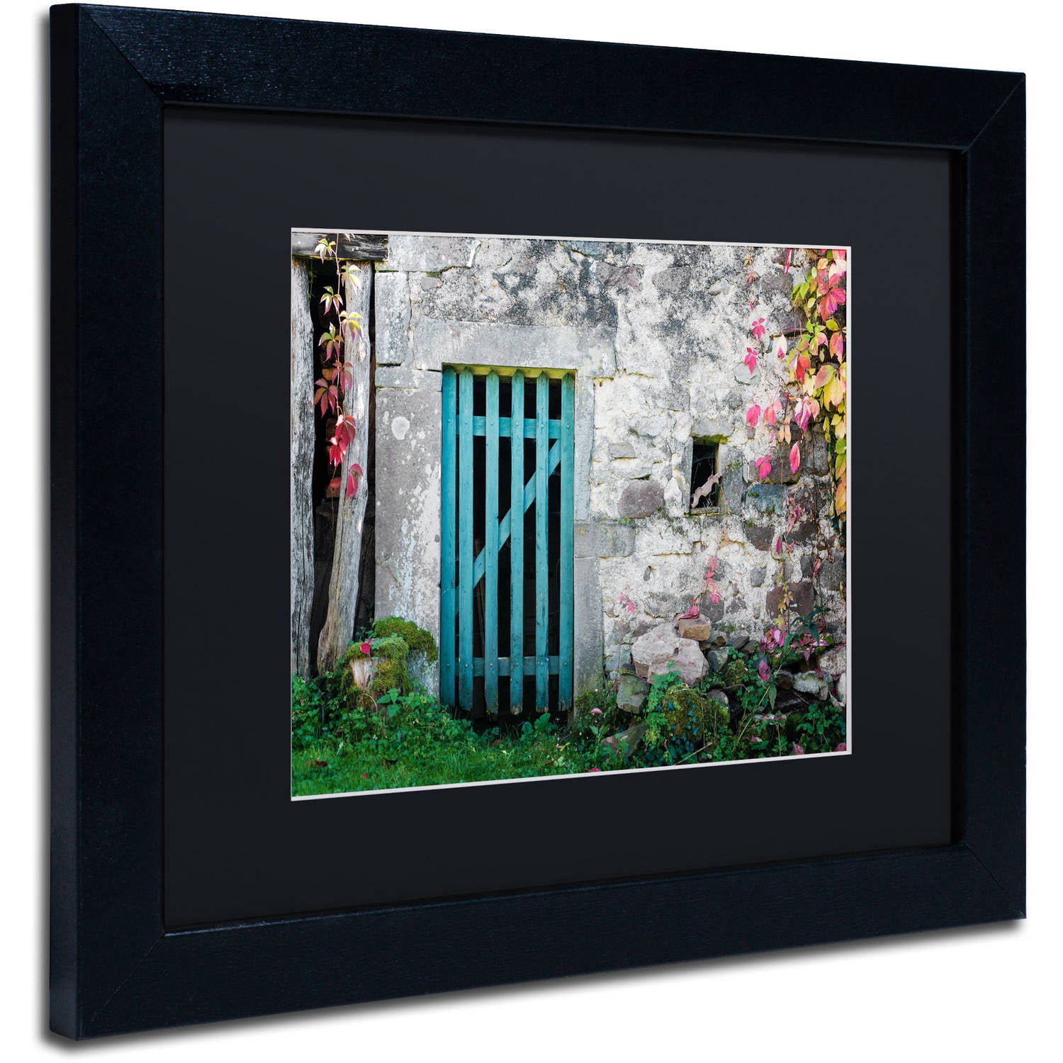 Trademark Fine Art "The Old Wooden Door" Canvas Art by Philippe Sainte-Laudy Black Matte, Black Frame