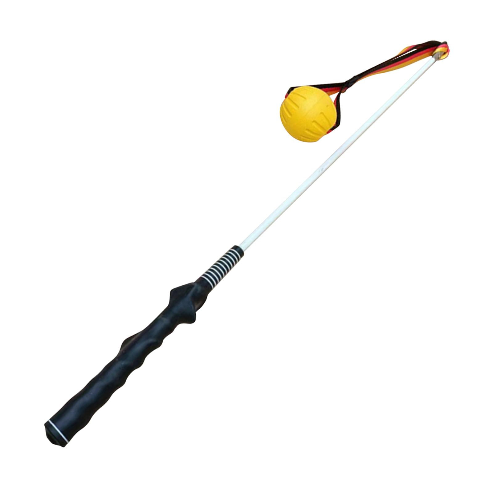 Bvdfgk Flirt Pole for Dogs Dog Teaser Pole Interactive Dog Toys Tug of War Rope Toy for 80cm
