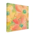 thumbnail image 2 of Chris Paschke 'Summer Cosmos II' Canvas Art, 2 of 3