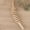 A curved, variant on Wooden Therapy Massager Roller Trigger Point Massager Stick for Fascia Cellulite Muscle & Abdomen Body, Muscle Belly Relief Too