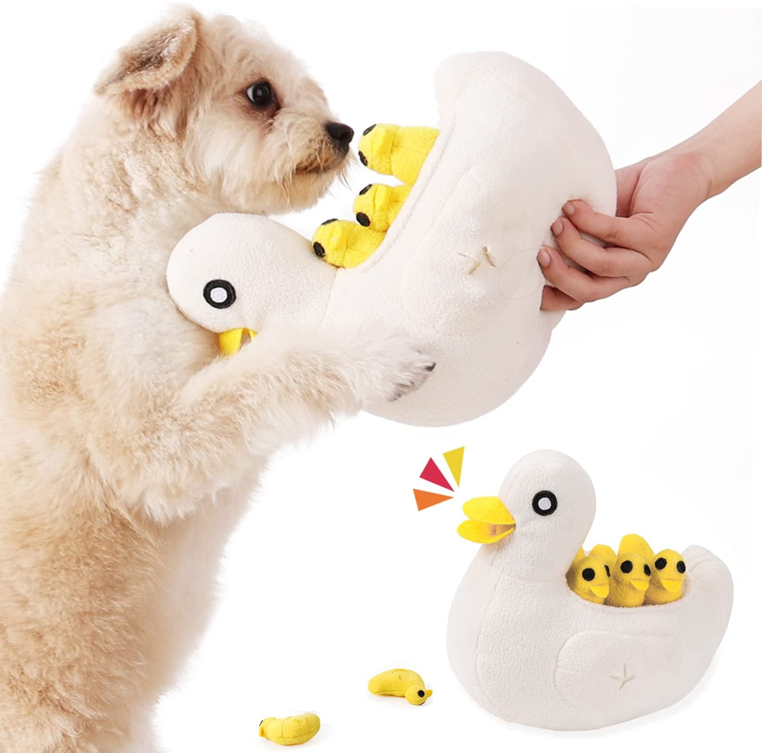 Why Does My Dog Treat Her Toy Like A Baby