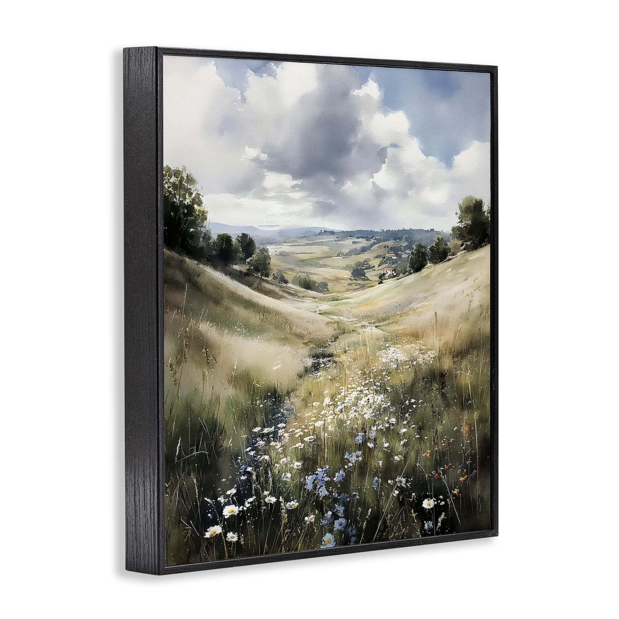 Stupell Industries Floral Valley of Wild Daisies Black Framed Giclee Art, design by Franklyn Gregory