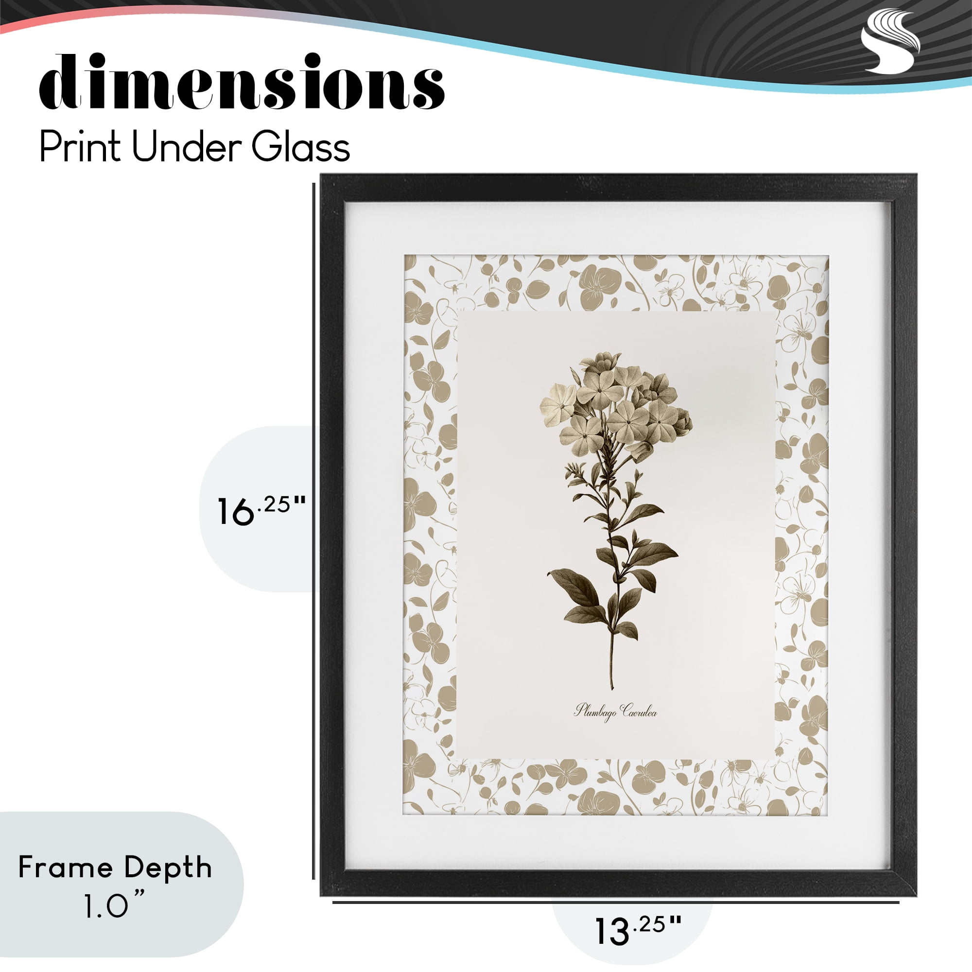 Stupell Industries Neutral Imperial Botanical Black Framed Print Under Glass, design by Kelly Donovan