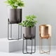 thumbnail image 5 of Yuarrent Jardinera funcional y decorativa con soporte de metal desmontable: regalo elegante y universal Jardín y Patio negro, 5 of 6