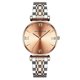 thumbnail image 1 of Classic Design Steel Watch, Waterproof, 1 of 1