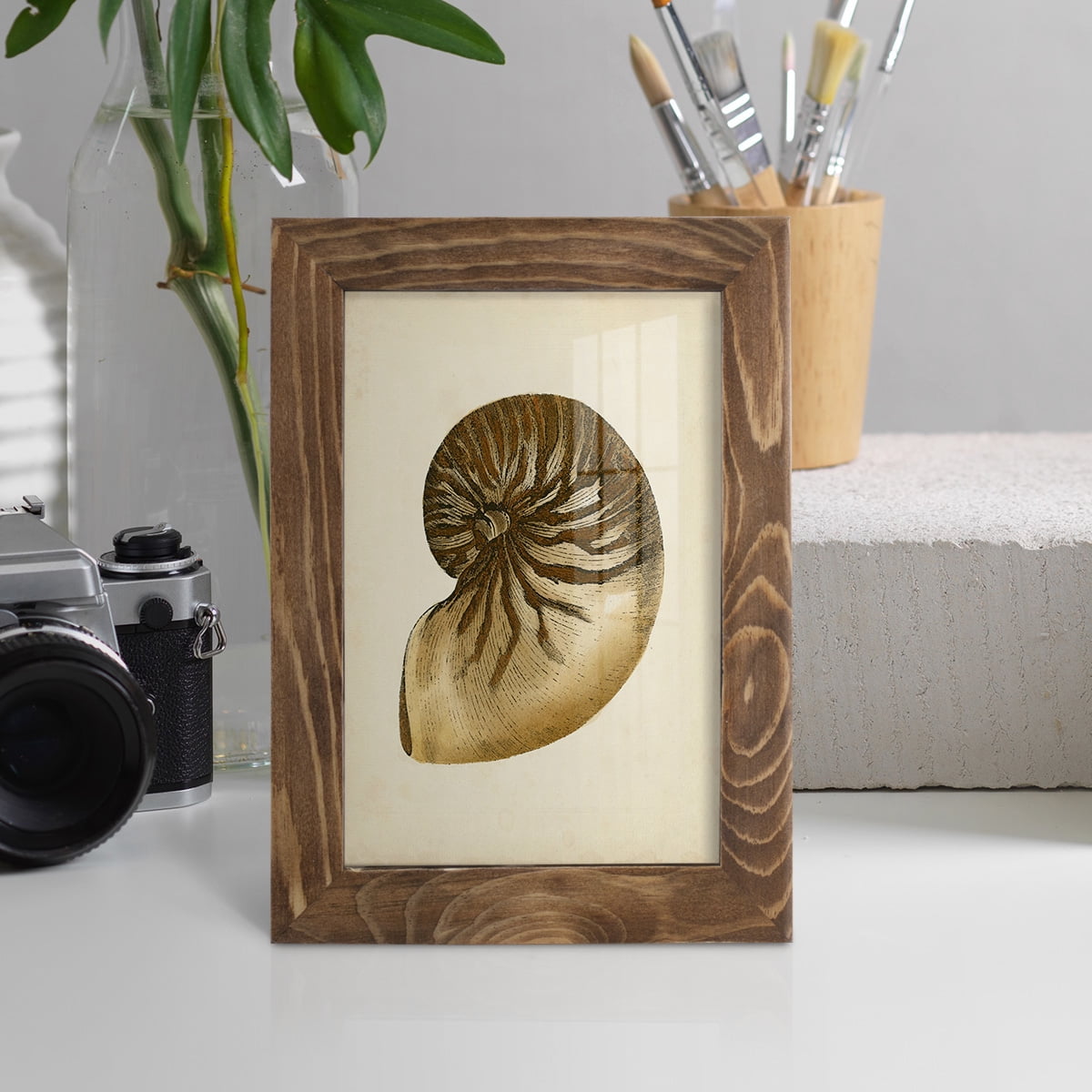 Sealife Collection V - Framed Print w/glass - Walnut