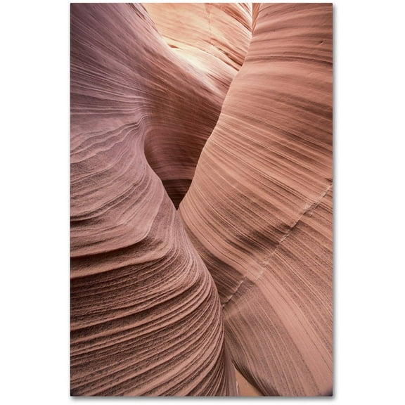 Trademark Fine Art "Spiral V" Canvas Art by Moises Levy