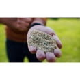 thumbnail image 2 of Scotts Turf Builder Quick + Thick Grass Seed Sun - Shade 1.2kg, 2 of 5