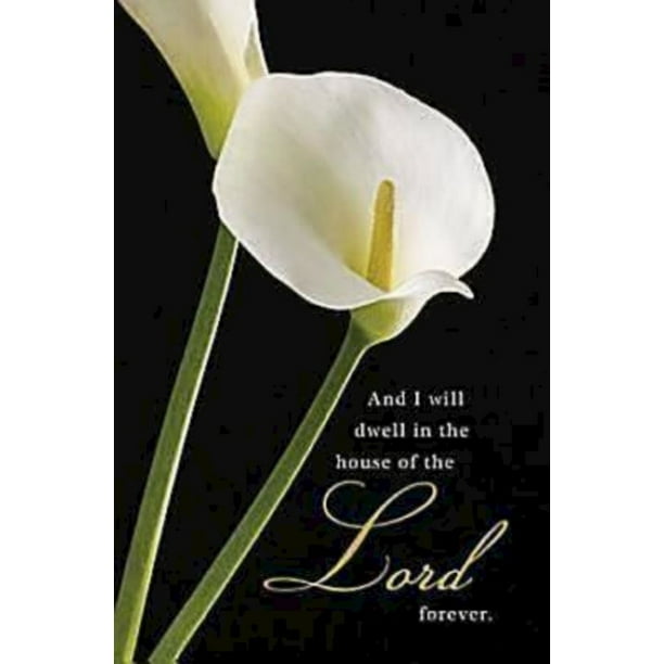 Calla Lilies Funeral Bulletin (Pkg of 50) (Other)