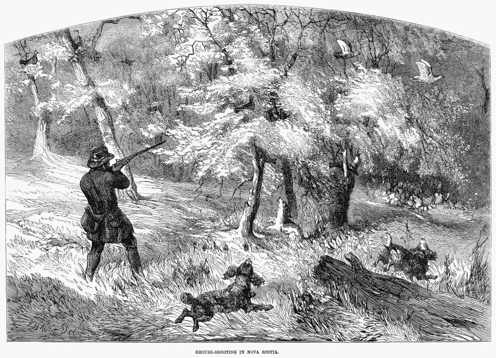 Grouse Hunting 1855 NGrouse-Shooting In Nova Scotia Wood Engraving ...