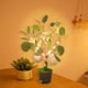 thumbnail image 5 of Luces LED de ramitas - Luz nocturna blanca cálida alimentada por USB • 30 LED • IP44 impermeable • Decoración artificial para plantas de 45-50cm, 5 of 7