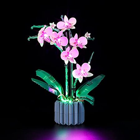 YEABRICKS LED Light Kit for Lego - Creator Orchid Building Blocks Model, LED Light Set Compatible with 10311(Lego Set NOT Included)