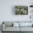 thumbnail image 3 of Elizabeth Urquhart 'Leafy IV' Canvas Art, 3 of 3