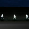 thumbnail image 3 of OptiCore C7 Shatterproof Cool White LED Christmas Lights Replacement Bulbs, Pack of 25, 0.84W, E12 Candelabra Base, 3 of 6