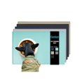 thumbnail image 1 of 1pc Silicon Pet Food Bowl Mat For Cat And Dog, 1 of 4