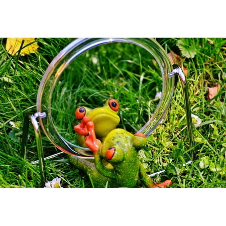 - LAMINATED POSTER Cute Frog Fun Mirror Image Funny Mirror Mirroring Poster Print 24 x 36