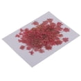 thumbnail image 1 of KLKCMS Fleurs Séchées Naturelles Rose, 1 of 9