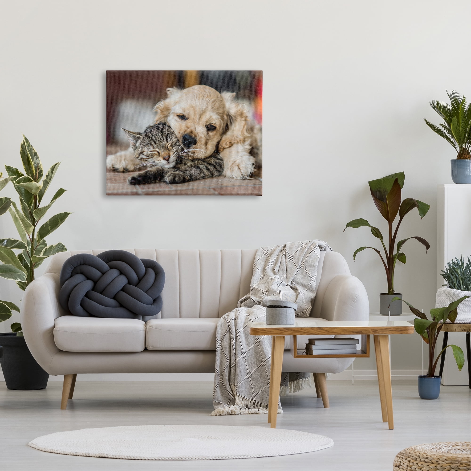 Stupell Industries Cat & Puppy Cuddling Animals & Insects Photography Gallery Wrapped Canvas Art Print Wall Art, 40 x 30