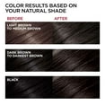 thumbnail image 4 of L'Oreal Paris Superior Preference Permanent Hair Color, 3 Soft Black, 1 Each, 4 Pack, 4 of 6