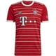 thumbnail image 1 of Jersey Playera Adidas del Bayer Munich Bayern Munchen Para Hombre Talla Extra Grande (XL), 1 of 5