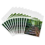 3dRose, Hong Kong, Tai Po Kau Nature Park, a jungle trail with stone steps., 12 Greeting Cards with envelopes