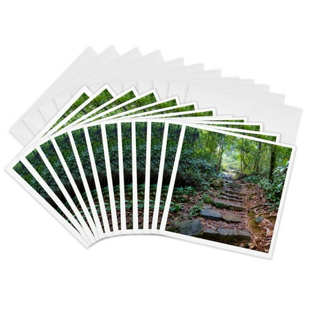 3dRose, Hong Kong, Tai Po Kau Nature Park, a jungle trail with stone steps., 12 Greeting Cards with envelopes
