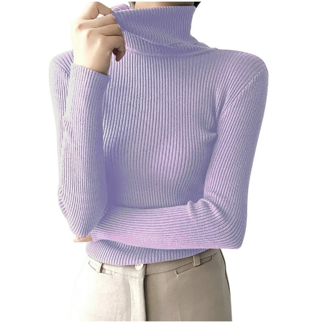 Timegard Fall Sweaters for Women High Neck Slim Fitting Pullover Casual Long Sleeve Bottom Tops Solid Color