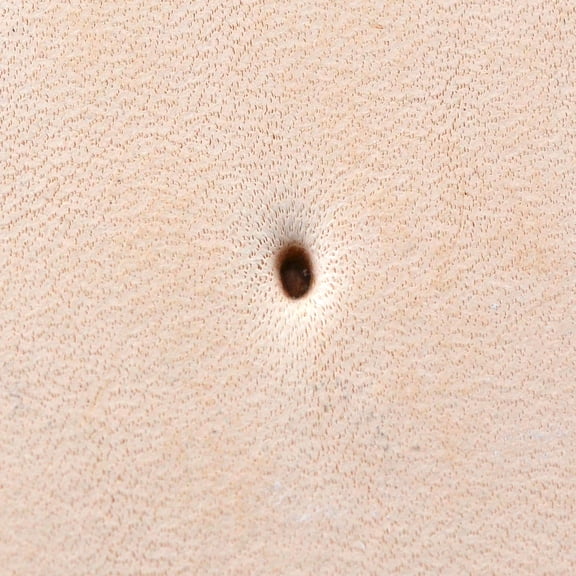 Leather Stamping Tool, Seeders, Smooth
