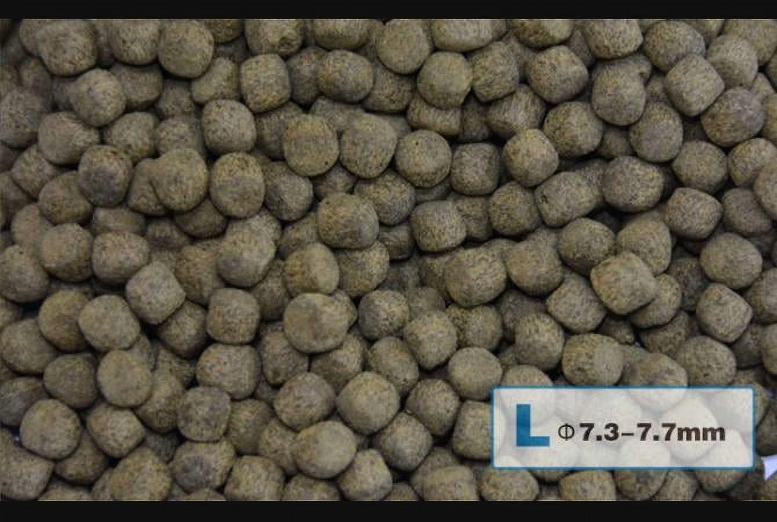 Aqua Master Growth Koi Food (1 kg) - Large Pellets