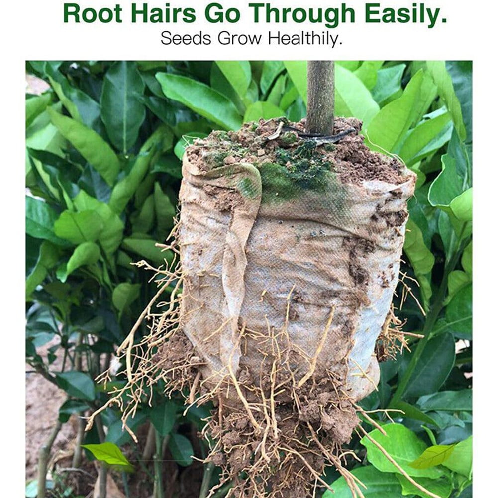 Gardening Seedling Containers 100-Pack Biodegradable Plant Grow Bags - 10x10 Inch Non-Woven Nursery Pots For Seed Starting Plant Starter Pots - Foto 4