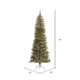 thumbnail image 5 of Vickerman 10' x 52" Champagne Pencil Artificial Christmas Tree, Unlit, 5 of 5