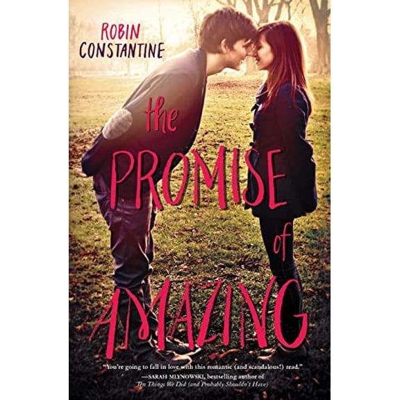 Pre-Owned The Promise of Amazing (Paperback) 0062279491 9780062279491