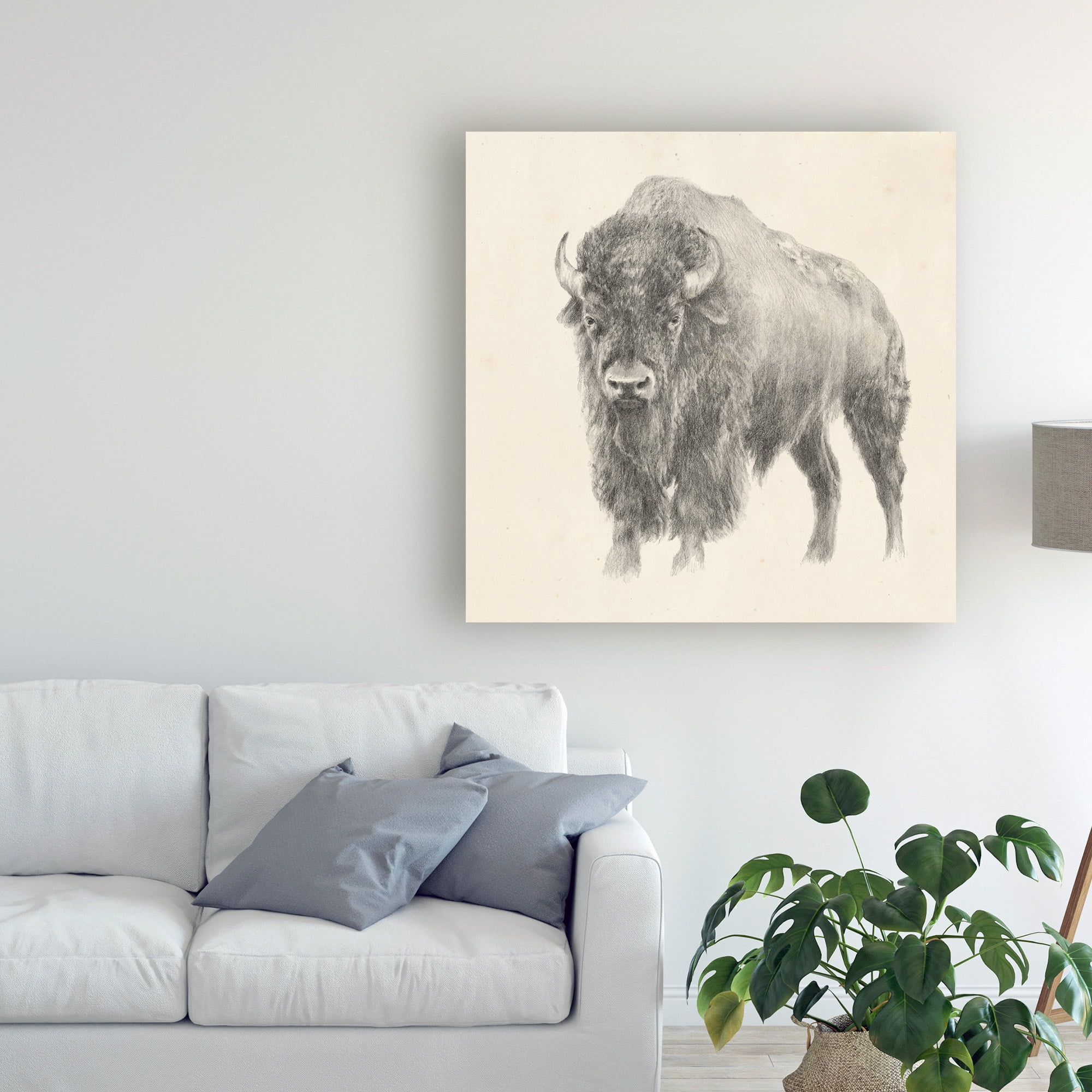 Trademark Fine Art 'Western Bison Study' Canvas Art by Ethan Harper