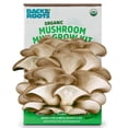thumbnail image 1 of Back to the Roots Organic Mini Mushroom Grow Kit, 1 of 6