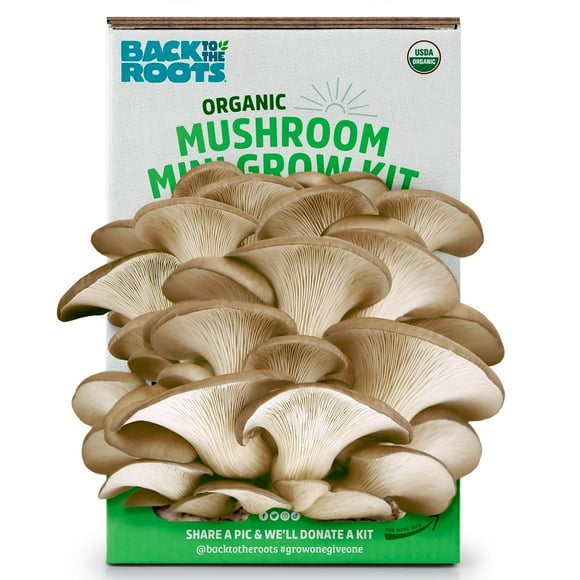 Kit de cultivo de minihongos Back to the Roots Organic