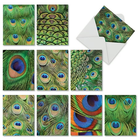 M2003 FANCY FEATHERS: 10 Assorted Blank Note Cards with Envelopes, The Best Card
