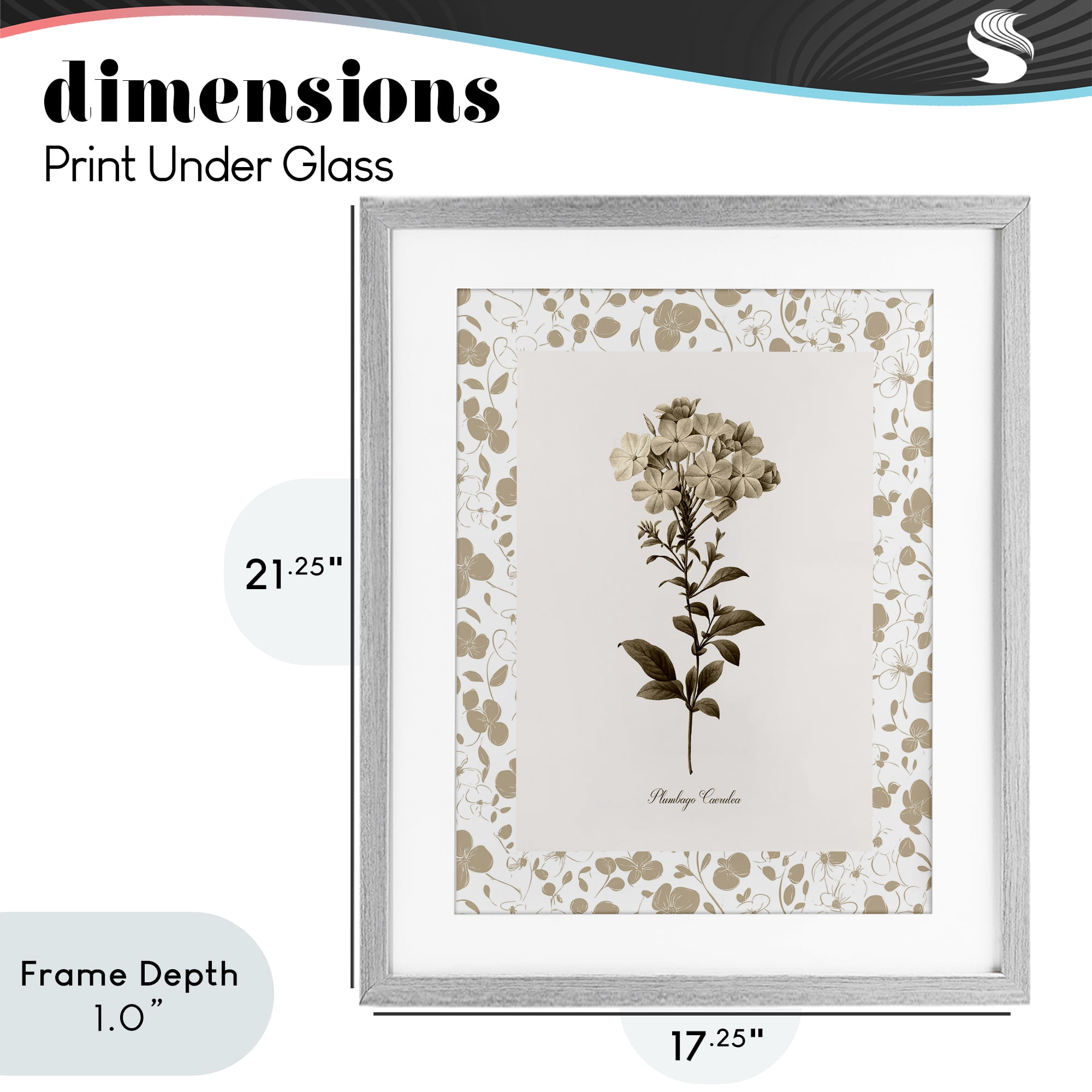 Stupell Industries Neutral Imperial Botanical Gray Framed Print Under Glass, design by Kelly Donovan