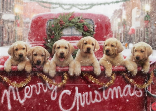 Avanti Press Lab Puppies In Red Truck Box Of 10 Dog Christmas Cards Walmart Com Walmart Com